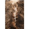 Image 7 : Exotic Tri-Colored Cowhide Brindle Premium Rug