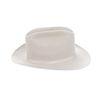 Image 11 : Stetson XXX6XXX "Open Road" Silver Belly Hat - Box