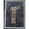 Image 8 : Original Harmon Percy Marble Photographs