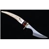 Image 10 : Whitetail Cutlery Antler Tine Trailing Point Knife
