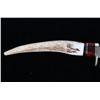 Image 13 : Whitetail Cutlery Antler Tine Trailing Point Knife