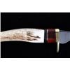 Image 14 : Whitetail Cutlery Antler Tine Trailing Point Knife