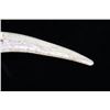 Image 9 : Whitetail Cutlery Antler Tine Trailing Point Knife