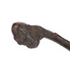 Image 4 : Penobscot Burl Head War Club 19th Century
