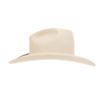 Image 10 : Montana Rock Springs Silver Bell Stetson Hat - Box