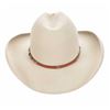 Image 12 : Montana Rock Springs Silver Bell Stetson Hat - Box