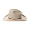 Image 13 : Montana Rock Springs Silver Bell Stetson Hat - Box