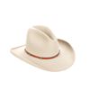 Image 14 : Montana Rock Springs Silver Bell Stetson Hat - Box
