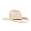 Image 15 : Montana Rock Springs Silver Bell Stetson Hat - Box
