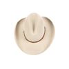 Image 7 : Montana Rock Springs Silver Bell Stetson Hat - Box