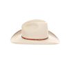 Image 9 : Montana Rock Springs Silver Bell Stetson Hat - Box