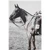 Image 9 : Western Rodeo Contender Gelatin Silver c. 1960's