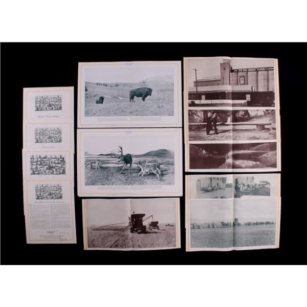 Montana Elevator Co. Advertising & Montana Images