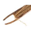 Image 2 : Bone Net Shuttle & Sinew Thread C. 12-1700AD