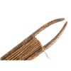 Image 4 : Bone Net Shuttle & Sinew Thread C. 12-1700AD