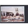 Image 8 : 1913 The Wonders of Geyserland Yellowstone Album