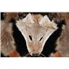 Image 11 : Coyote & Fox Hide Spirit Shield Mandela Collection
