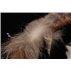 Image 7 : Coyote & Fox Hide Spirit Shield Mandela Collection