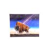 Image 1 : Buffalo & Milky Way Oil on Canvas Circa 2016