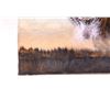 Image 9 : Buffalo & Milky Way Oil on Canvas Circa 2016