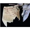 Image 3 : Shawnee Elk Antler Adze Hide Scraper