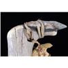 Image 4 : Shawnee Elk Antler Adze Hide Scraper