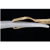 Image 9 : Shawnee Elk Antler Adze Hide Scraper