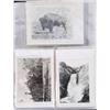 Image 2 : Haynes Huffman Yellowstone Photographs & Postcards