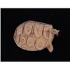 Image 9 : S. African Bushman Crafted Toys & Childs Loincloth