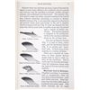 Image 17 : Automobile, Electrical & Steamboat Cyclopediums