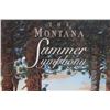 Image 6 : The Montana Summer Symphony Advertisement c. 2001