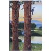 Image 7 : The Montana Summer Symphony Advertisement c. 2001