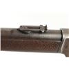 Image 10 : Winchester Model 1873 'The Daisy Carbine'