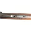 Image 16 : Winchester Model 1873 'The Daisy Carbine'