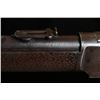 Image 17 : Winchester Model 1873 'The Daisy Carbine'