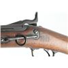 Image 3 : Springfield 1884 Trapdoor Carbine 45-70