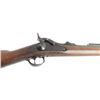 Image 4 : Springfield 1884 Trapdoor Carbine 45-70