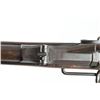 Image 5 : Springfield 1884 Trapdoor Carbine 45-70