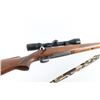 Image 3 : Winchester Model 70 30-06 SN: 438066