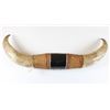 Image 1 : Set of Brama Bull Horns