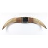 Image 2 : Set of Brama Bull Horns