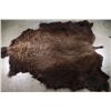 Image 1 : Large Buffalo Hide