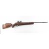 Image 1 : Beeman Crow Magnum .25 Cal Air Rifle