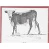 Image 1 : Limited Edition Fine Art Print