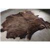 Image 2 : Buffalo Hide