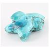 Image 2 : Turquoise Frog Effigy
