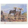 Image 2 : Ruger North Americans Series Prints