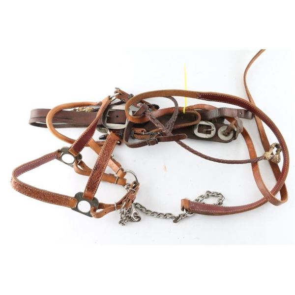 Lot of Horse Tack