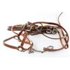 Image 1 : Lot of Horse Tack