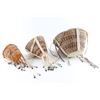 Image 3 : Lot of 3 Apache Burden Baskets